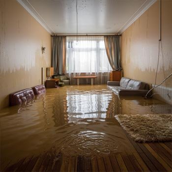Houston Water Damage Restoration