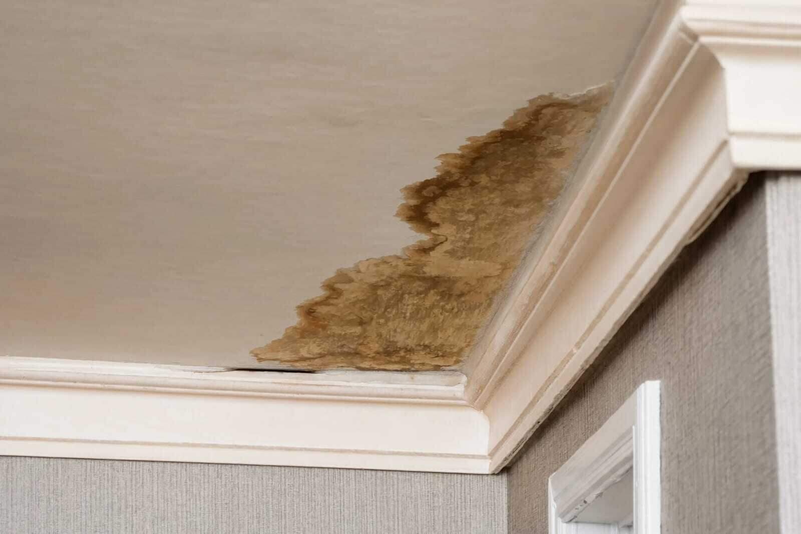 Water-stained ceiling with a brown ring below a second-floor bathroom in a Houston home