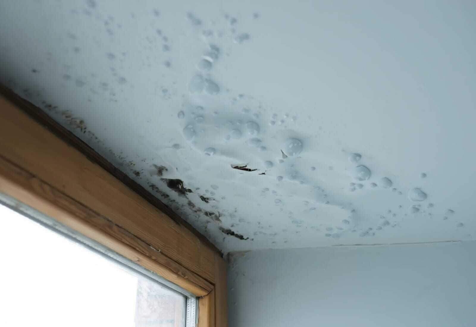 Roof water damage repair in Conroe, TX